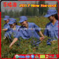 Goji berry new harvest fruits for diabetics dried fruit